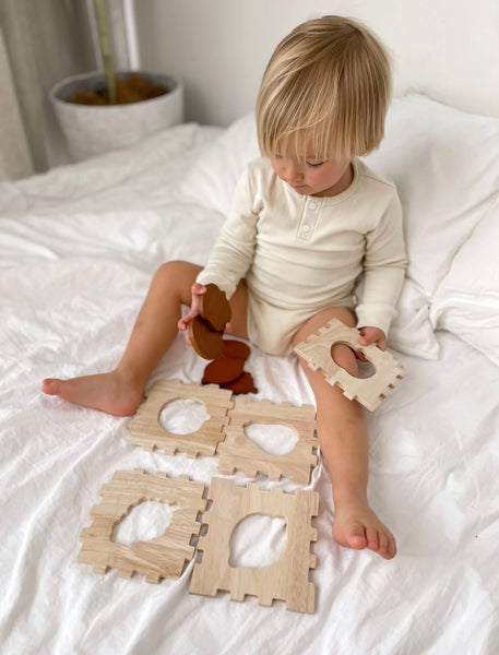 Fruit Box Puzzle