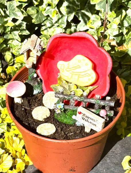 Flower Stones and Bowls
