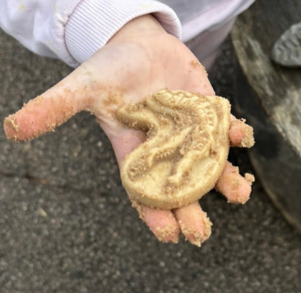 Dig and Discover – Triceratops & Spinosaurus