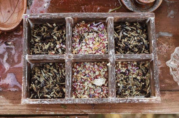 6 Hole Tray