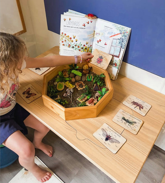 Bugs – Sensory Play Stones