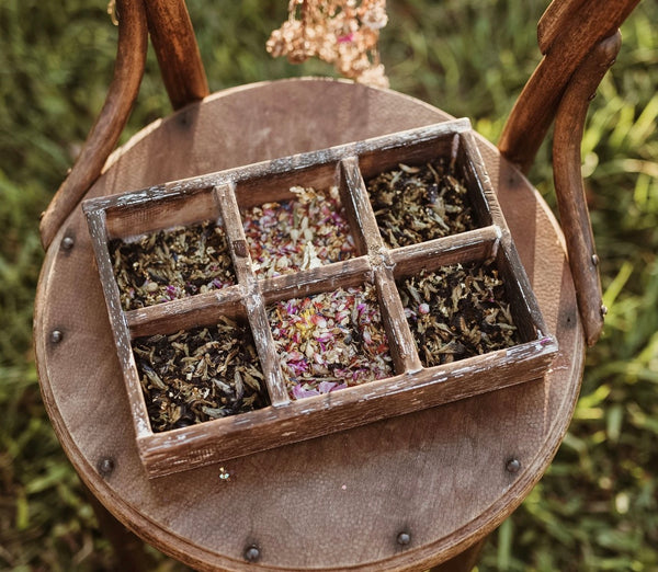 6 Hole Tray
