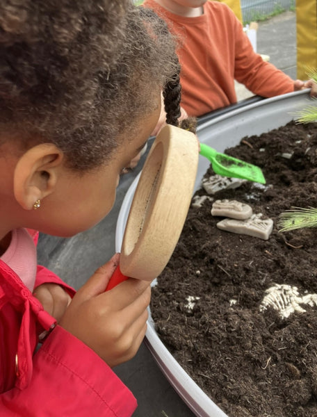 Dig and Discover – Ankylosaurus & Tyrannosaurus rex