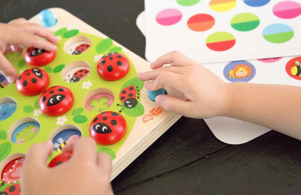 LADYBUG'S GARDEN MEMORY GAME