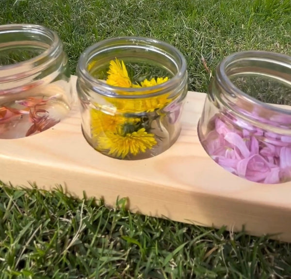 Timber Paint Holder Set (Includes 6 Jars)