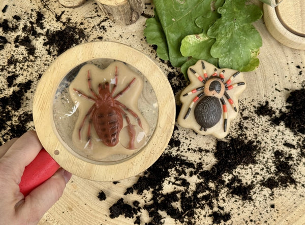 Bugs – Sensory Play Stones