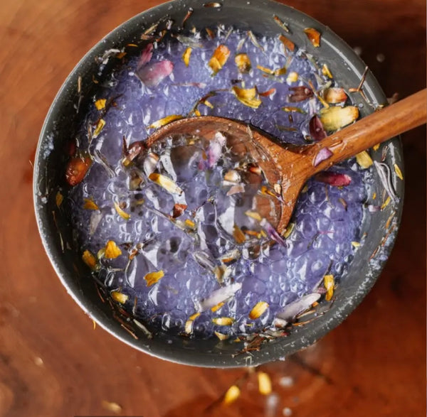 Urchin Purple Saltwater Potion Play Fizz