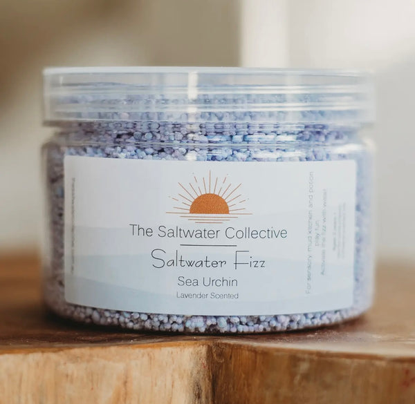 Urchin Purple Saltwater Potion Play Fizz