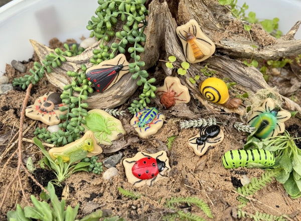 Bugs – Sensory Play Stones