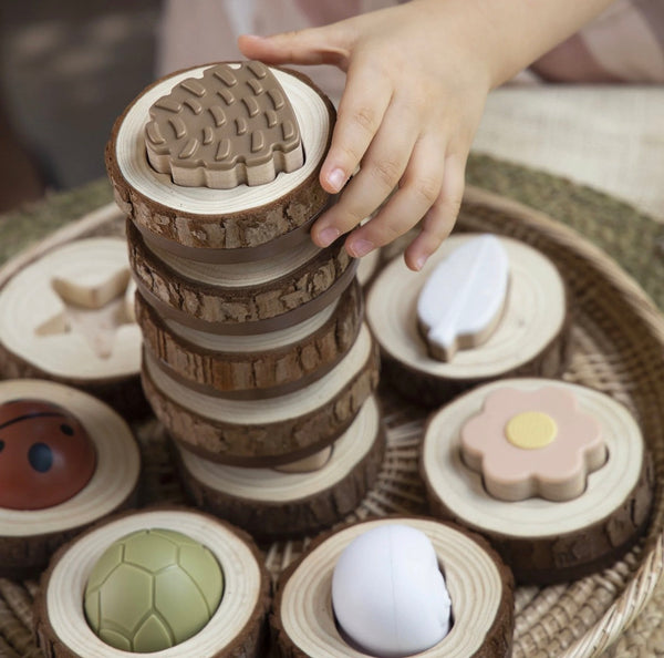 Guidecraft Nature Feel and Find – 24 pc. set