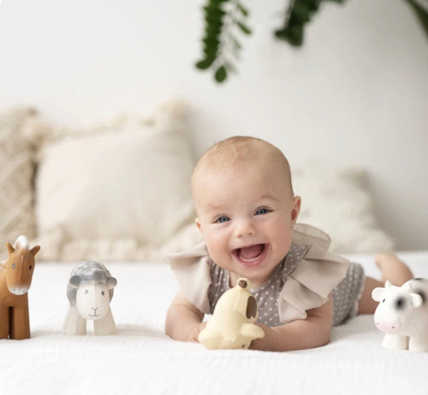 Sheep Teether, Rattle and Bath Toy