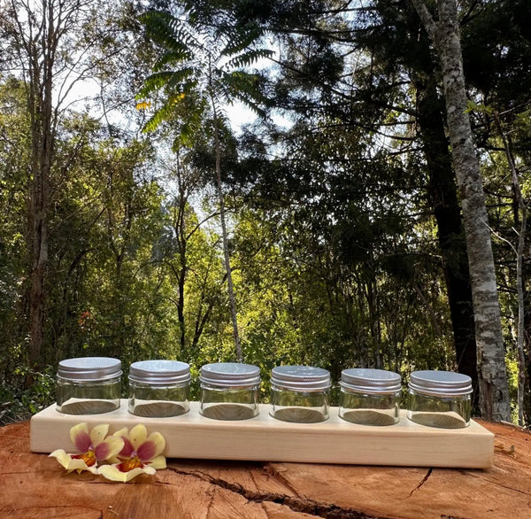 Timber Paint Holder Set (Includes 6 Jars)