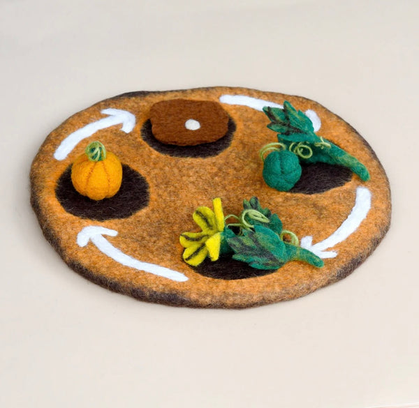 FELT LIFECYCLE OF PUMPKIN