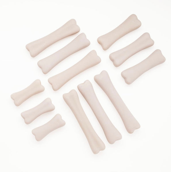 Dinosaur Bones Discovery Set of 12