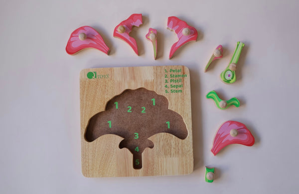 Flower anatomy puzzle