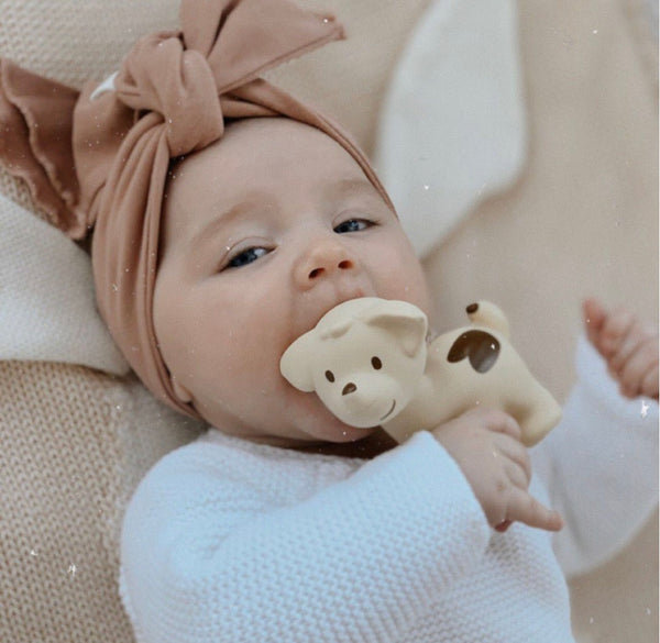 Puppy Teether, Rattle and Bath Toy