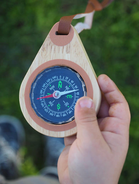 Wooden compass