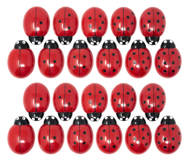 Ladybug Counting Stones