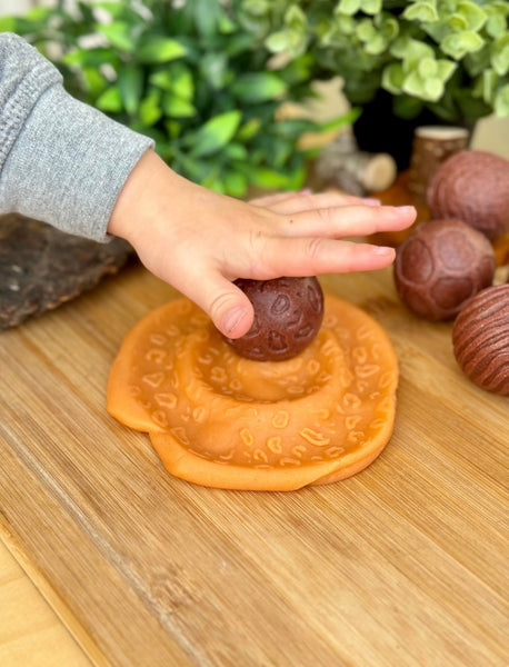 Roll Around – Wild Animals