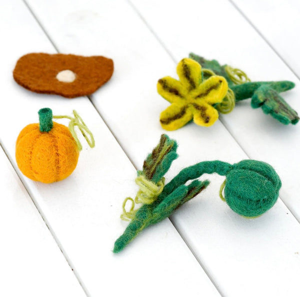 FELT LIFECYCLE OF PUMPKIN