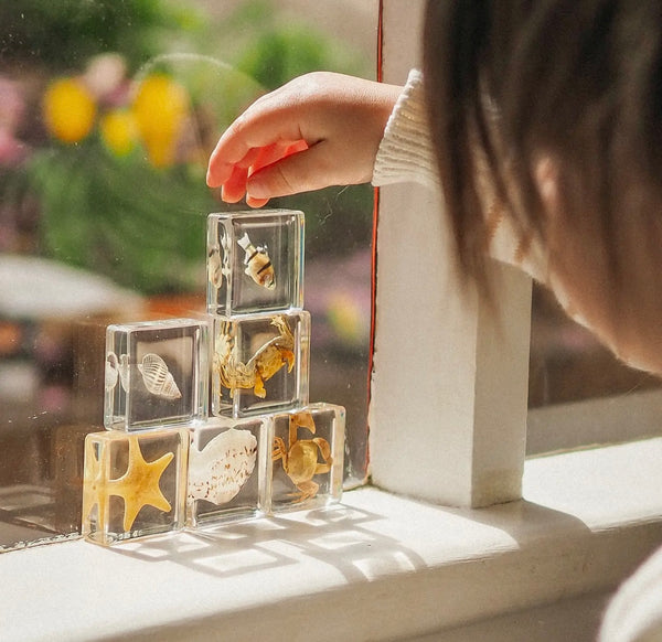 Sea Searcher Specimens