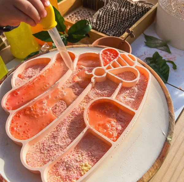 Honey Hive & Bee Tray
