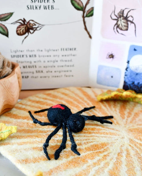 FELT LIFECYCLE OF REDBACK SPIDER