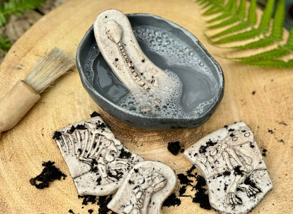 Dig and Discover – Ankylosaurus & Tyrannosaurus rex
