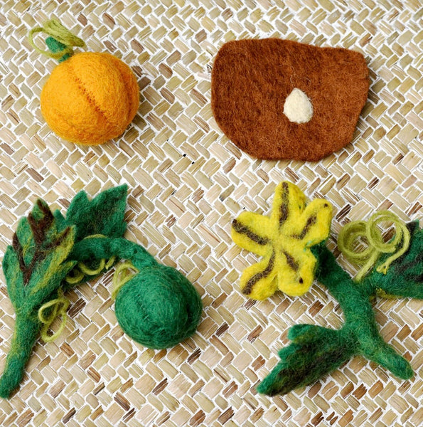 FELT LIFECYCLE OF PUMPKIN