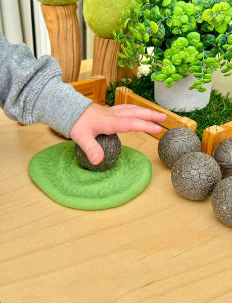 Roll Around – Farm Animals