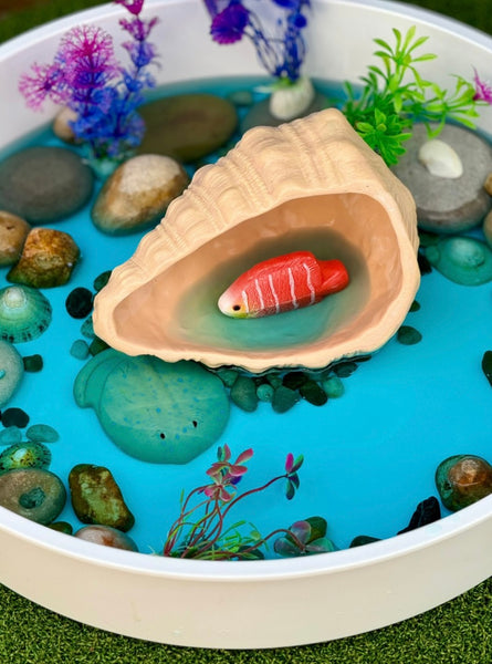 Play Shell