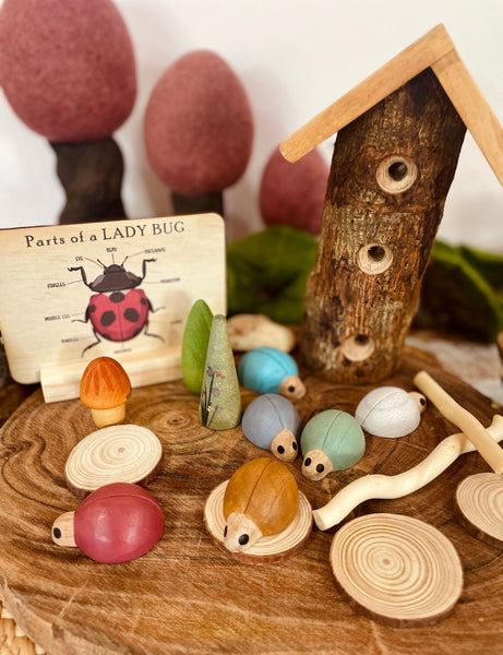 Lady Bug House