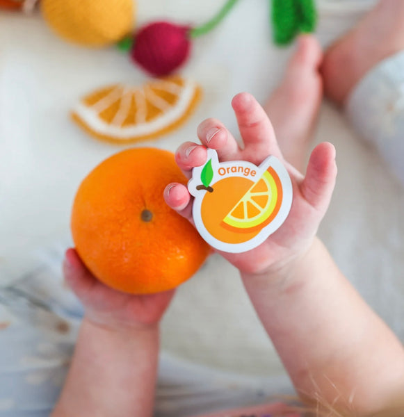 MAGNETIC FOODS & LETTERS