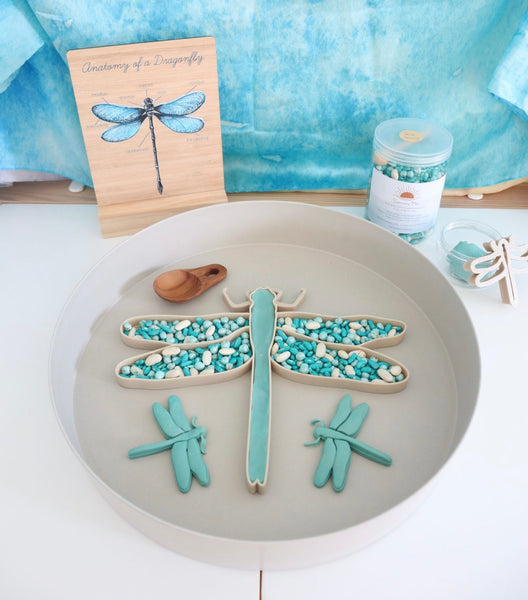 Anatomy of a Dragonfly Board
