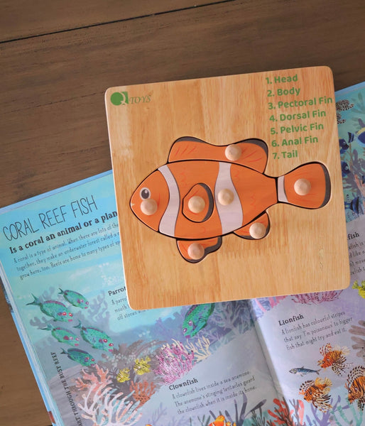 Montessori Fish Puzzle