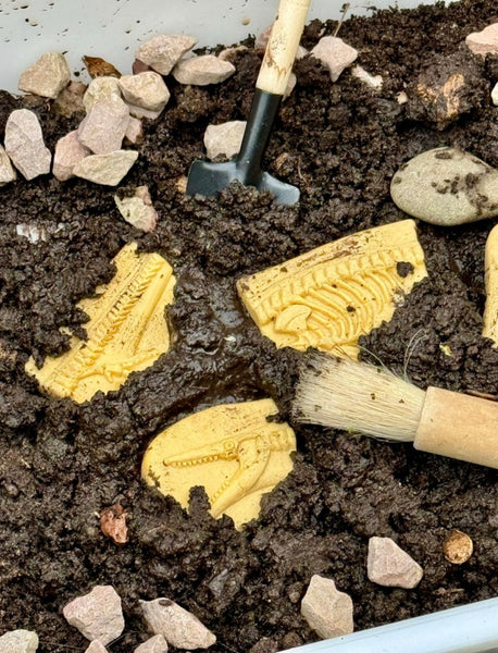 Dig and Discover – Pliosaur & Stegosaurus