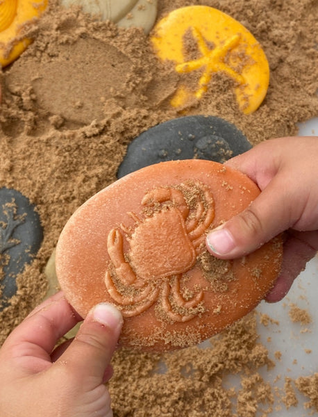 Let’s Investigate – Seashore