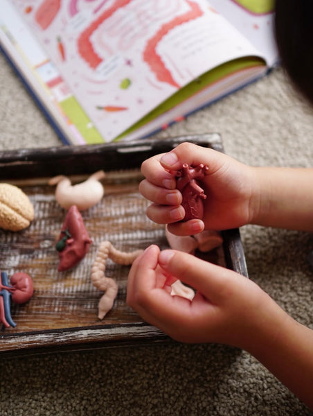 Mini Tray