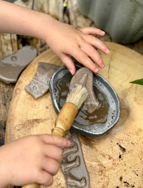 Dig and Discover – Pliosaur & Stegosaurus