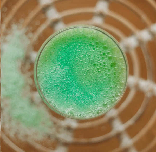 Sea Grass Saltwater Potion Play Fizz