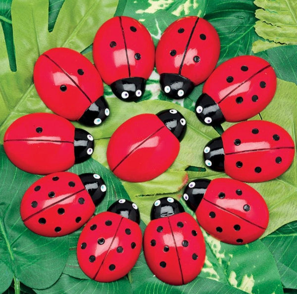 Ladybug Counting Stones