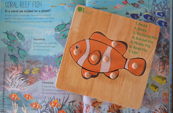 Montessori Fish Puzzle