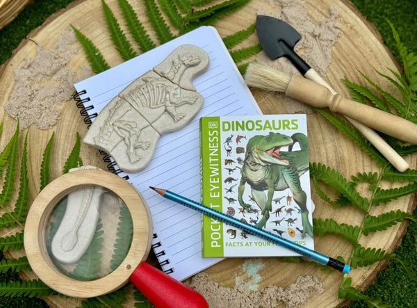 Dig and Discover – Ankylosaurus & Tyrannosaurus rex