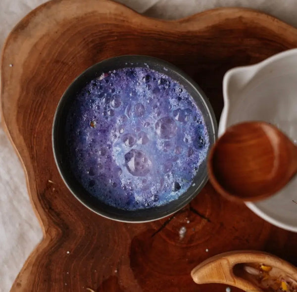 Urchin Purple Saltwater Potion Play Fizz