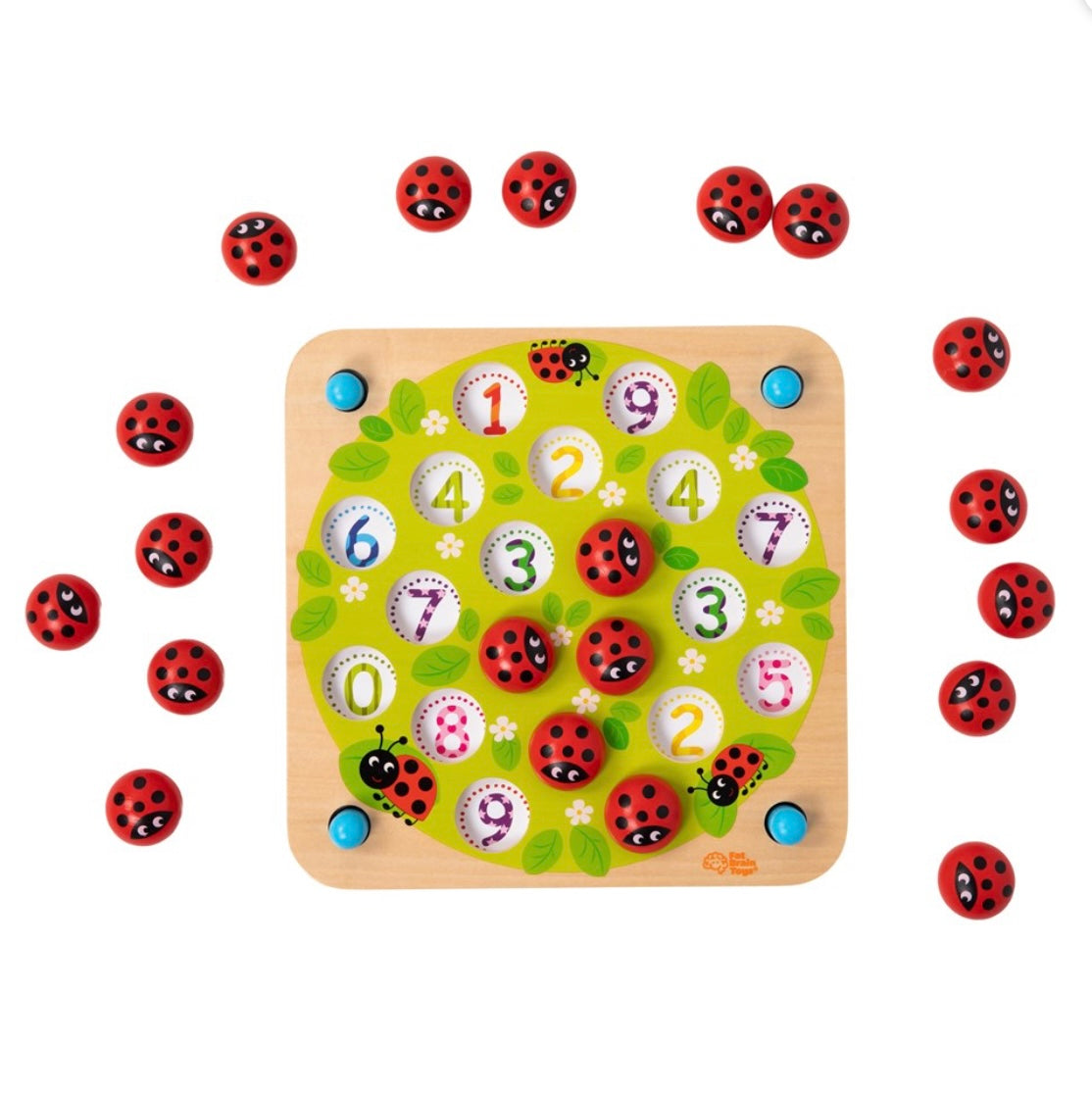 LADYBUG'S GARDEN MEMORY GAME