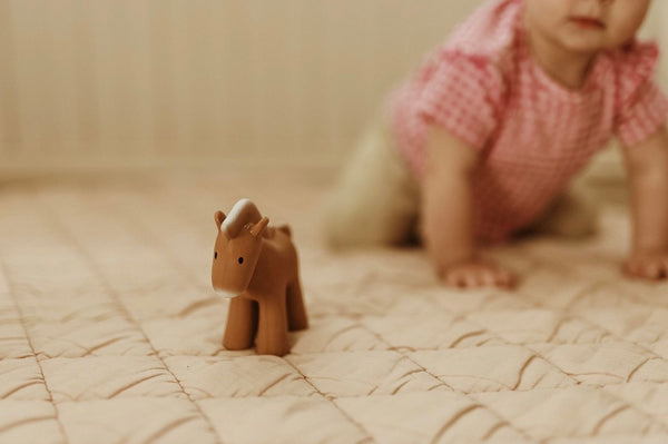 Horse Teether, Rattle and Bath Toy