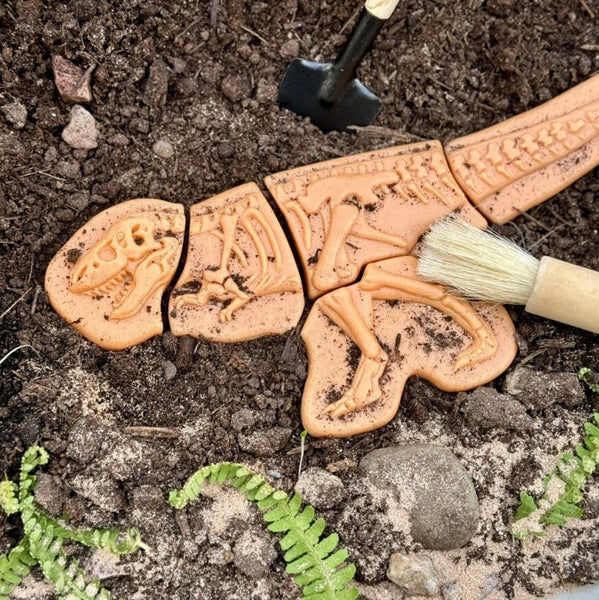Dig and Discover – Ankylosaurus & Tyrannosaurus rex