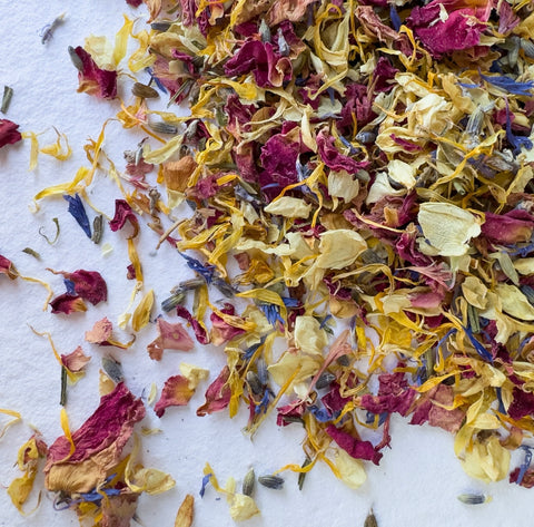 Delightful Dried Flowers- Flowering Confetti Lo