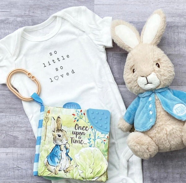 PETER RABBIT ONCE UPON A TIME SOFT BOOK