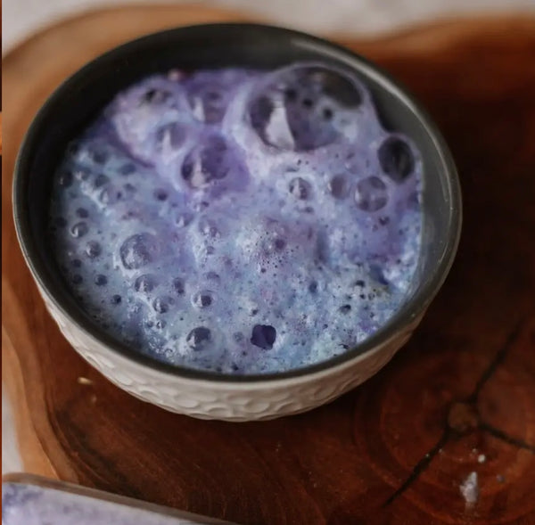 Urchin Purple Saltwater Potion Play Fizz